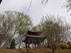 -北坞公园