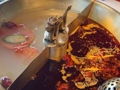 -小龙翻大江文化火锅(宽窄店)