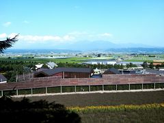 -富田农场