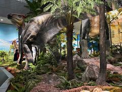 -湖南省地质博物馆