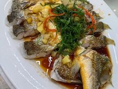 -陈记粤湛鸡饭店