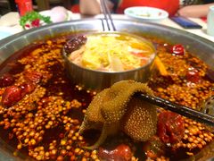 -孙毛肚火锅(春熙路店)