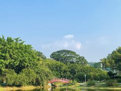 -东莞植物园