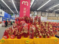 -麦德龙(郑东店)