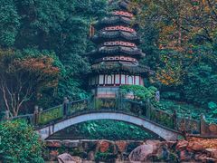 -深圳国际园林花卉博览园