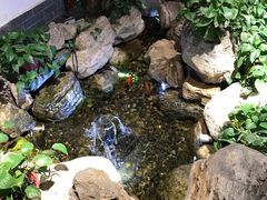 -清真·京华源铜锅涮肉(丰庆店)