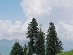 -新疆那拉提国家旅游度假区