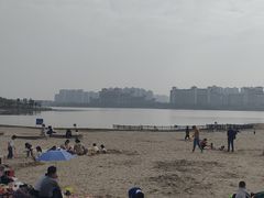 -九龙湖公园