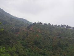 -木兰云雾山