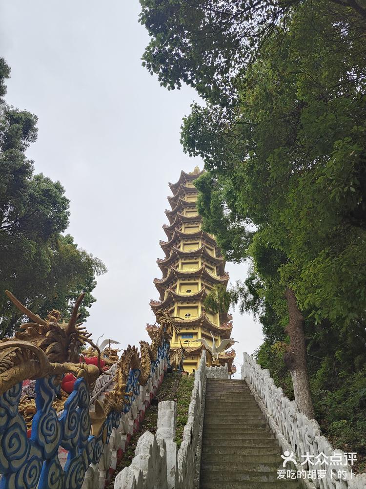 郏县莲花山景区要门票图片