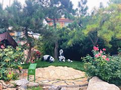 -新川办餐厅