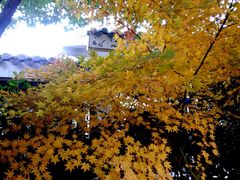 iphone_upload_pic-余姚阳明温泉山庄
