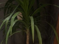 -陈熹公民族美食文化餐厅(中华广场店)