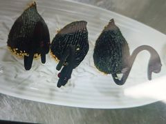 -红顶食府(滨湖九号店)