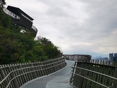 -福道
