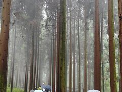 -娄山关景区
