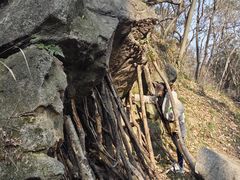 -波尔登森林公园