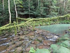 -灵栖洞天