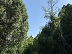 -四川江油戴斯大酒店