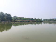 -马家湾湿地公园