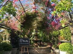 -The Grounds of Alexandria