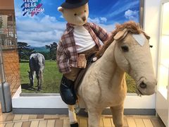 -济州岛泰迪熊博物馆