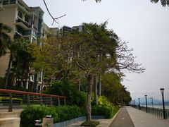 -深圳湾公园(南山区)