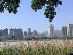 -江心屿景区