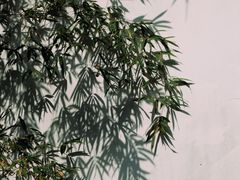 -拙政园