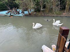 -宁波野生动物园