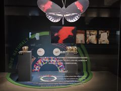 -现代汽车文化中心 Hyundai Motorstudio Beijing
