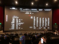 -SFC上影百联影城(八佰伴IMAX店)