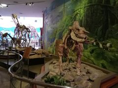 -陕西自然博物馆