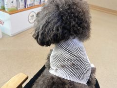 -爱派特动物医院·全科诊疗中心