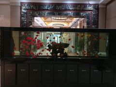 -雅和生态渔庄·宜城锅巴饭(龙灵山公园店)