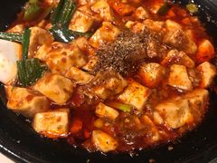 -陈麻婆豆腐总店