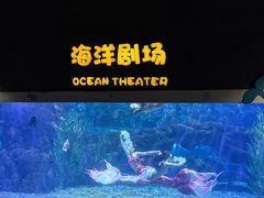 -郑州海洋馆