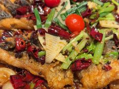 -老板恋上鱼(恒隆广场店)