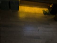 -索拉古贝(义乌北苑店)