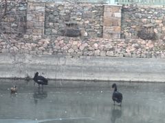 -芭东小镇温泉