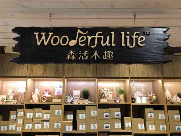森活木趣wooderful life(bfc外滩金融中心店)-"这家店好大好大,视频没