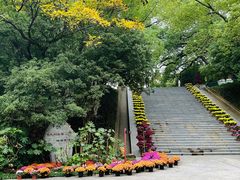 -菊花台公园