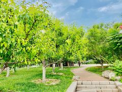 -南开大学滨海学院