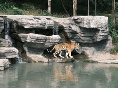 -宁波野生动物园