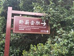 -白马涧龙池景区