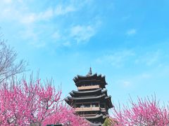 -杭州半山国家森林公园