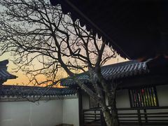 -江心屿景区