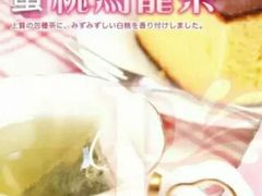 蜜桃乌龙茶-酒井酱子·深夜食堂(东城汇店)