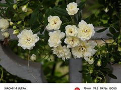 -杭州植物园