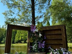 -黄海国家森林公园